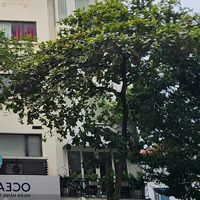 Bán Nhà Mặt Phố Số 62B Lý Thường Kiệt Quận Hoàn Kiếm Thành Phố Hà Nội 96M - 6 Tầng -Mặt Tiền4.8M