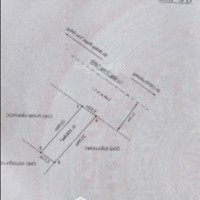 Hoa Hậu Mặt Đường Trung Nghĩa, Đồ Sơn Giờ Mới Xuất Đầu Lộ Diện. Nằm Trên Mặt Đường Rộng 10M