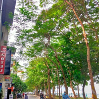 Bán Nhà Phố Nhật Chiêu View Hồ Tây 131M2,Mặt Tiền11M, Ngõ Ô Tô Tránh, Giá 37.X Tỷ