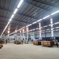 Cho Thuê Kho Nhà Xưởng 470M2 Kcn Hòa Cầm, Cẩm Lệ, Đà Nẵng