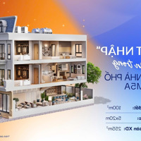 Vì Sao Nên Chọn Mua Shophous Tấn Đức Central Park ?