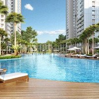 Chính Chủ Bán Shophouse Vị Trí Đẹp Tại Park 9 Vinhomes Times City Parkhill, Dòng Tiền 60 Triệu