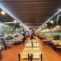 Bán Tòa Vị Trí Vàng Mặt Tiền Phạm Ngọc Thạch, P.6, Q3- Dt: Dt:11X15M 9 Lầu Hđt 400 Triệu/Th Giá Bán 110 Tỷ