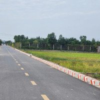 Bán Gấp Đất Nền 1000M2 Tại Tỉnh Lộ 419, Long Xuyên, Phúc Thọ, Hà Nội, Giá Bán 700 Triệu Vnd