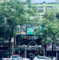 Cần Bán Gấp - Bán Nhà Chính Chủ Mặt Phố Mai Hắc Đế - 120M2 X 3 Tầng - Mặt Tiền 7,8M - 1 Sổ 1 Chủ