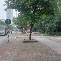 Giảm 2 Tỷ B.án Đất Mặt Phố Lê Trọng Tấn, Hà Đông 100M2, Mặt Tiền 8M