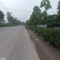 Cho Thuê Xưởng Phan Trọng Tuệ - Thanh Trì, Diện Tích: 560M2, Mới, Cao 9M, Cont Đỗ Cửa, Giá Thuê 80K/M2