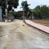 Chính Chủ Cần Bán 300/156M Thổ Cư , Đường Thông Tại Hòa Thạch, Quốc Oai Cách Trục Chính 100M