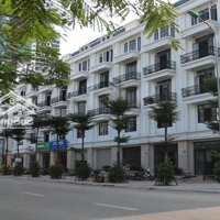 Bán Shophouse Giá Siêu Hời Tại Dream Land Xuân La - Tây Hồ, 50 Tỷ, 116M2