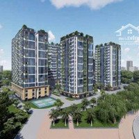 Chính Thức Ra Hàng Chung Cư Platinum-Eco Smart City Cổ Linh, Long Biên, Ngay Cầu Vĩnh Tuy