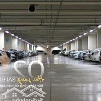 Ra Mắt Căn Hộ Mia Plaza - Tâm Điểm An Cư Tại Quận Kinh Tế Của Đà Nẵng