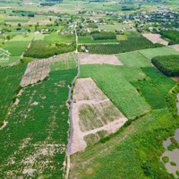 Bán Lô Đất Ninh Thượng - Ninh Hoà, Đất Cây Hàng Năm Giá Chỉ 179 Triệu/Lô, Sổ Hồng Từng Lô