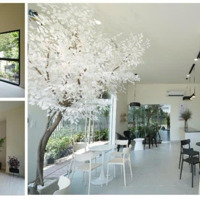 Nhà Phố 6X17M(94M2), Góc 2 Mặt Tiền, Chỉ 5,8 Tỷ Trọn Sổ, Sổ Sẵn An Toàn, Nhà Mới 100%.Mặt Tiền13M Nhựa