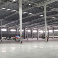 Cho Thuê Kho Tiêu Chuẩn Có Dock Cont, Pccc Tự Động Tại Sóc Sơn Dt: Từ 1000M2 - 10.000M2