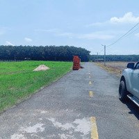 Bán Đất Nền Tại Đt 756, Minh Lập, Chơn Thành, Bình Phước, 568 Triệu, 250M2 Uy Tín Chỉ Với