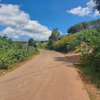 Bán Đất Chính Chủ Tại Mê Linh Lâm Hà Ven Đà Lạt Diện Tích 700M Thổ Cư 100M Chỉ 1.55 Tỷ