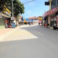 Chính Thức Ra Hàng Siêu Phẩm F0 Cho Nđt. Địa Chỉ: Trục Chính, Yên Tàng, Bắc Phú, Sóc Sơn