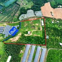 281 Triệu /1000M2 Đất Tại Định Quán -Đồng Nai