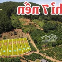 Lô Đất Lưng Tựa Đồi Thông, View Suối Camly Với Diện Tích 367M2 Chỉ Với 862 Triệu