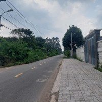 Cần Tiền Trả Nợ Bán Gấp Đất Thổ Cưmặt Tiềnbến Súc, Gần Khu Safari Sài Gòn