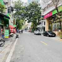 Hiếm! Mặt Phố Mai Hắc Đế, Lô Góc 2 Thoáng, Vỉa Hè Rộng, Kinh Doanh, Mặt Tiền Vip, 123M*3T