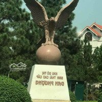 Gia Đình Cần Bán Lại Căn Biệt Thự 200M Tại The Phoenix Garden, Thị Trấn Phùng, Đan Phượng.