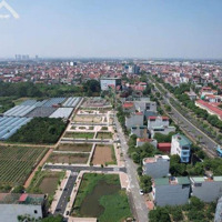 Bán Đất Đấu Giá Đồng Súc, Đô Thị Mới Ven Ql 32, Thị Trấn Phùng