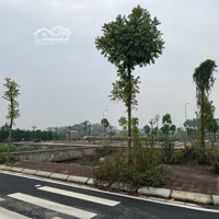 Bán Đất Đấu Giá Đồng Súc, Đô Thị Mới Ven Ql 32, Thị Trấn Phùng