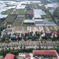 Bán Đất Đấu Giá Đồng Súc, Đô Thị Mới Ven Ql 32, Thị Trấn Phùng
