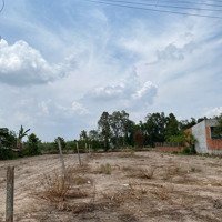 Chính Chủ Bán Đất 459M2, Thổ Cư 100M2 Châu Pha - Bà Rịa Vũng Tàu. Hoa Hồng Môi Giới 50 Triệu