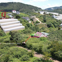 Còn Sót Lại 1 Lô Măng Lin Duy Nhất Hẻm Nhựa Ô Tô Tránh Nhau 200M2 Giá Rẻ Chỉ 4,8 Tỷ