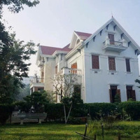 Bán Biệt Thự Đường Nguyễn Lữ - Khu Nam Việt Á - Ngũ Hành Sơn - Đà Nẵng,Diện Tích270M2 (15 X18M)