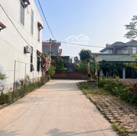 Duy Nhất 1 Lô Đấu Giá Đức Hậu, Thanh Lâm Diện Tích: 75M2