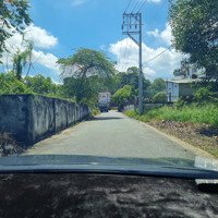 Bán Đất Tại Xã Lai Hưng, Bàu Bàng, Bình Dương, 900 Triệu, 192 M2 Chỉ Với Giá Ưu Đãi