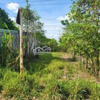 Bán Miếng Đấtmặt Tiềnđường 436 Giá Bán 620 Triệu