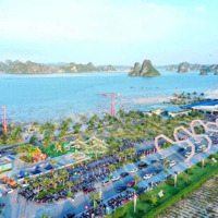 Quỹ Hàng Trí Ân. Khách Hàng Cuối Năm. Giá Cực Tốt Đất Nền Ven Biển Sẵn Sổ