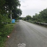 Chủ Ngộp Bank Cần Bán Gấp Nhà Siêu Rẻ 300M2 Thổ Cư Tại Hưng Long - Bình Chánh Chỉ 5.2 Tỷ