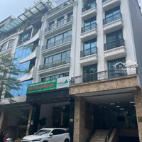 Bán Nhà Phố Đỗ Quang: 100M2, 7 Tầng Thang Máy,Mặt Tiền8M - Kd Đỉnh - Giá Bán 48 Tỷ