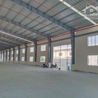 Cho thuê kho xưởng 5000m2 đường Võ Nguyên Giáp, Trảng Bom Đồng Nai