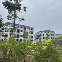 Liền Kề Tây Nam Mễ Trì- Mỹ Đình- Vị Trí Siêu Vip, Căn Góc, Mặt Chung Cư Giá Tốt Nhất Thị Trường