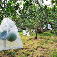 Nhà Chị Tư Tôi Cần Sang Lại Miếng Vườn Đẹp Giá Rẻ Chỉ 480 Triệu, Diện Tích 1100M2