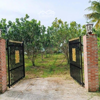 Nhà Chị Tư Tôi Cần Sang Lại Miếng Vườn Đẹp Giá Rẻ Chỉ 480 Triệu, Diện Tích 1100M2