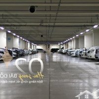 Mia Center Point - Booking Ngay Hôm Nay Để Được Ưu Tiên Chọn Căn Đẹp Và Ưng Ý Nhất