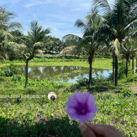Bán Đất Fpt Ngang 8M Giai Đoạn 1 Gần Kênh Sinh Thái, Gần Nam Kì Khởi Nghĩa Đường Thông Trục Bắc Nam