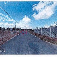 Bán Đgts Đất Tại Tđ Số: 426, Xã Láng Dài, Huyện Đất Đỏ, Tỉnh Bà Rịa - Vũng Tàu