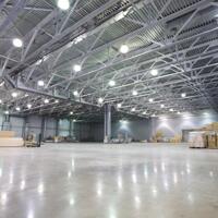Cho Thuê Nhà Xưởng 8,800M2 Giá Cực Hời Trong Kcn Nhơn Trạch 2, Đồng Nai