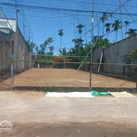 Cuối Năm Kẹt Tiền Bán Gấp Đất Ngay Kcn Tây Bắc, Củ Chi, Diện Tích 10M X 30M, Giá Bán 485 Triệu, Bớt Lộc