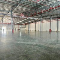 Cho Thuê Kho Xưởng Tiêu Chuẩn 5.000M2 - 100.000M2 Đủ Pccc Kcn Đình Vũ Deep C Hải An, Hải Phòng