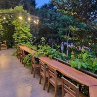 Bán Đất Phố Miếu Đầm, Mễ Trì, Tòa Building Đỉnh, 260M Mt11M, Giá Hơn 40 Tỷ