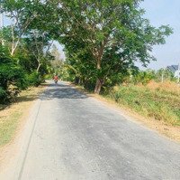 Chính Chủ Gửi Bán 500M2 Đất Vườn, Đường Xe Hơi, Giá Rẻ, Sổ Hồng Riêng, Kết Nối Tphcm Chỉ 15Km